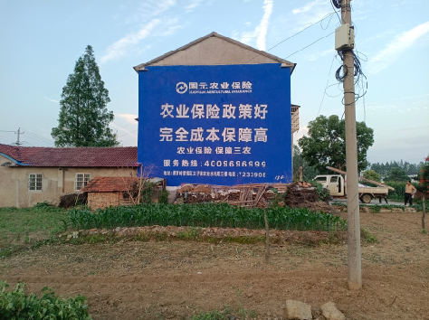 株洲墙体广告的优劣势你知道吗？