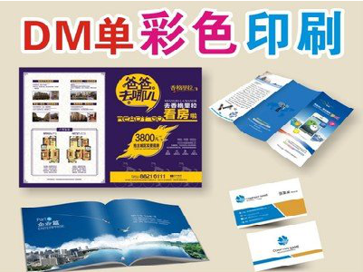 株洲单页印刷，色彩搭配简单。